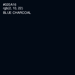#020A16 - Blue Charcoal Color Image