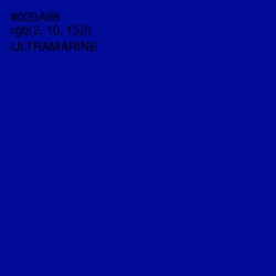 #020A98 - Ultramarine Color Image