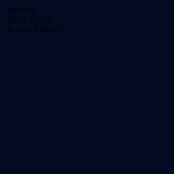 #020B22 - Black Pearl Color Image