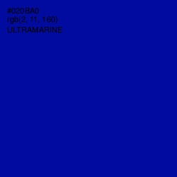 #020BA0 - Ultramarine Color Image