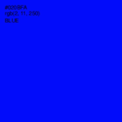 #020BFA - Blue Color Image
