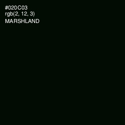#020C03 - Marshland Color Image