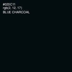 #020C11 - Blue Charcoal Color Image