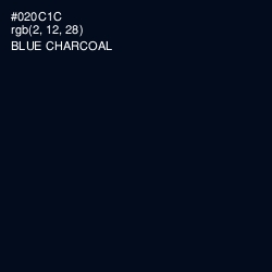 #020C1C - Blue Charcoal Color Image
