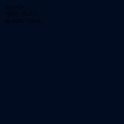 #020C21 - Black Pearl Color Image