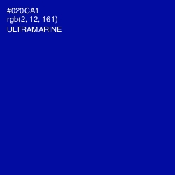 #020CA1 - Ultramarine Color Image