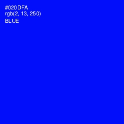 #020DFA - Blue Color Image