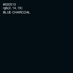 #020E13 - Blue Charcoal Color Image
