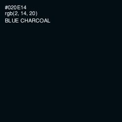 #020E14 - Blue Charcoal Color Image
