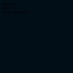 #020E17 - Blue Charcoal Color Image