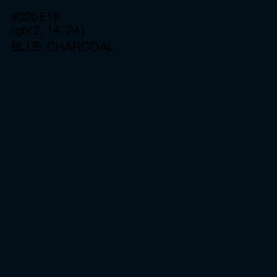 #020E18 - Blue Charcoal Color Image