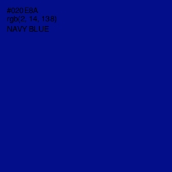 #020E8A - Navy Blue Color Image