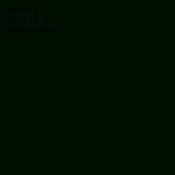 #020F03 - Marshland Color Image