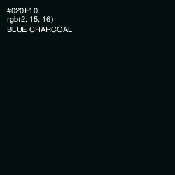 #020F10 - Blue Charcoal Color Image