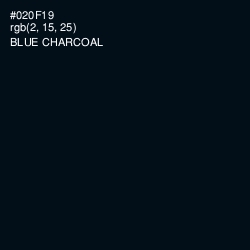 #020F19 - Blue Charcoal Color Image