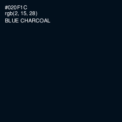 #020F1C - Blue Charcoal Color Image