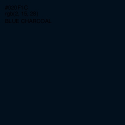 #020F1C - Blue Charcoal Color Image