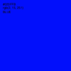 #020FFB - Blue Color Image