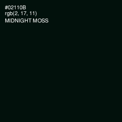 #02110B - Midnight Moss Color Image