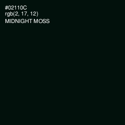 #02110C - Midnight Moss Color Image