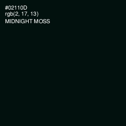 #02110D - Midnight Moss Color Image