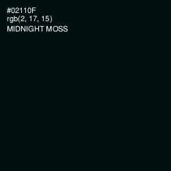 #02110F - Midnight Moss Color Image