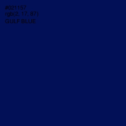 #021157 - Gulf Blue Color Image