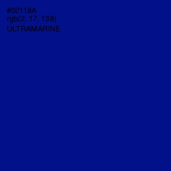 #02118A - Ultramarine Color Image