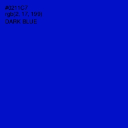 #0211C7 - Dark Blue Color Image