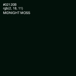 #02120B - Midnight Moss Color Image