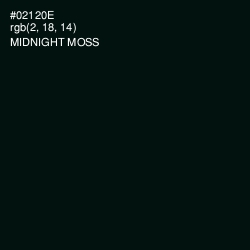 #02120E - Midnight Moss Color Image