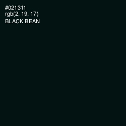 #021311 - Black Bean Color Image