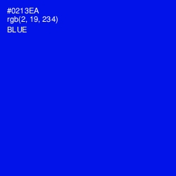 #0213EA - Blue Color Image
