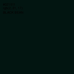 #021511 - Black Bean Color Image