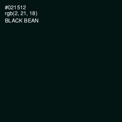 #021512 - Black Bean Color Image