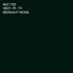 #02170D - Midnight Moss Color Image