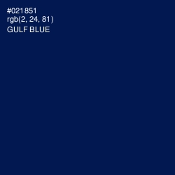 #021851 - Gulf Blue Color Image