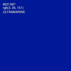 #021A97 - Ultramarine Color Image