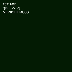 #021B02 - Midnight Moss Color Image