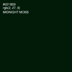 #021B09 - Midnight Moss Color Image