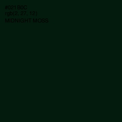 #021B0C - Midnight Moss Color Image