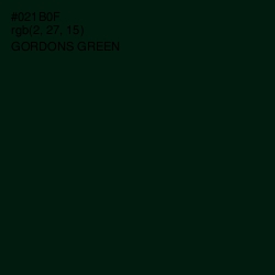 #021B0F - Gordons Green Color Image