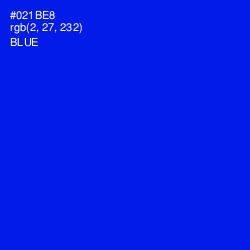 #021BE8 - Blue Color Image