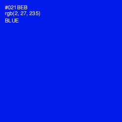 #021BEB - Blue Color Image