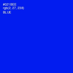 #021BEE - Blue Color Image