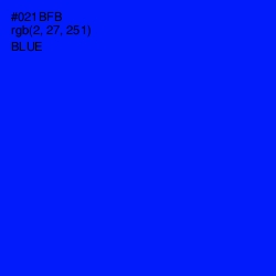 #021BFB - Blue Color Image