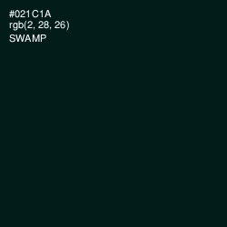 #021C1A - Swamp Color Image