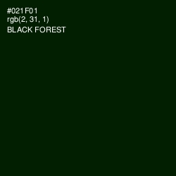 #021F01 - Black Forest Color Image