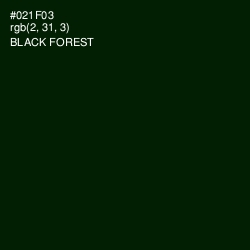 #021F03 - Black Forest Color Image