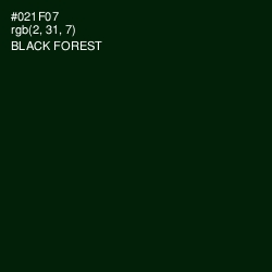 #021F07 - Black Forest Color Image